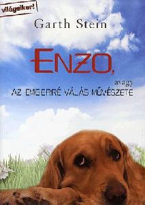 Enzo, avagy az emberré válás művészete