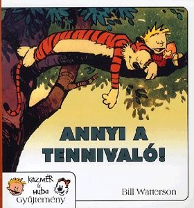 Annyi a tennivaló! - Képregény