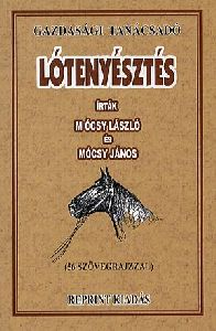 Lótenyésztés