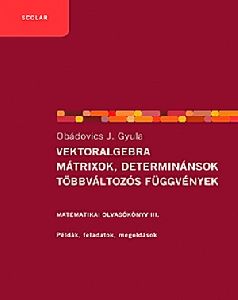 Vektoralgebra, mátrixok, determinánsok, többváltozós függvények