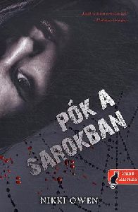 Pók a sarokban