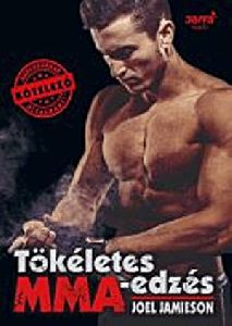 Tökéletes MMA-edzés
