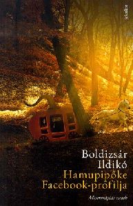 Hamupipőke Facebook-profilja