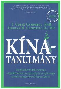 Kína-tanulmány