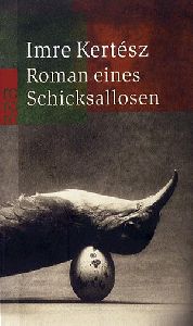 Roman eines Schicksallosen