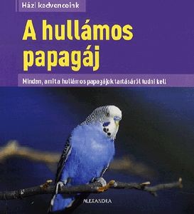 A hullámos papagáj