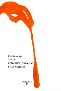 Kényszerleszállás Shannonban