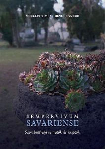 Sempervivum Savariense
