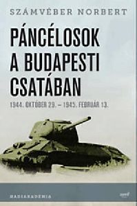 Páncélosok a budapesti csatában