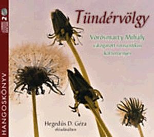 Tündérvölgy - Hangoskönyv (2 CD)