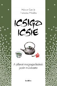 Icsigo-icsie